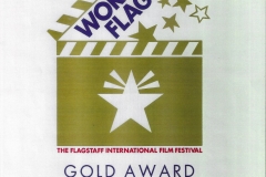 WorldFest-Gold-Award-Party-On-Houston